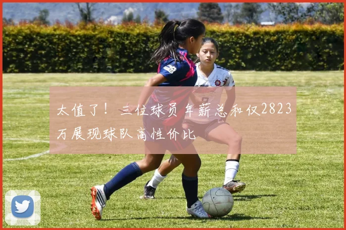 太值了！三位球员年薪总和仅2823万展现球队高性价比