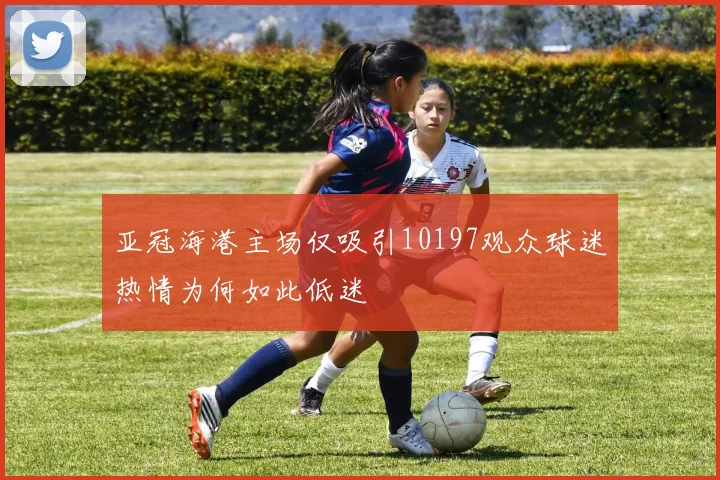 亚冠海港主场仅吸引10197观众球迷热情为何如此低迷
